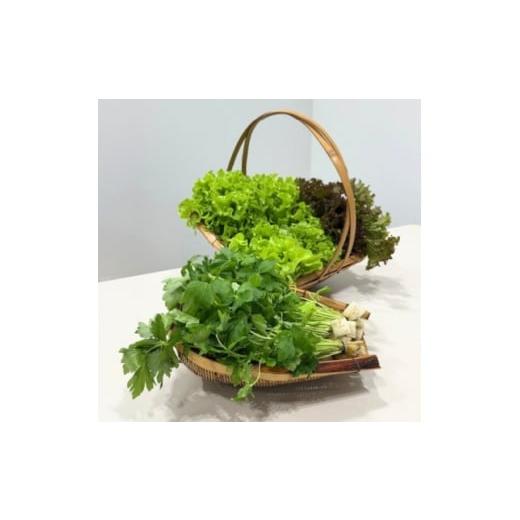 ふるさと納税 野菜類 徳島県 阿南市 新鮮しゃきしゃきレタスと香る三つ葉セット 1675683