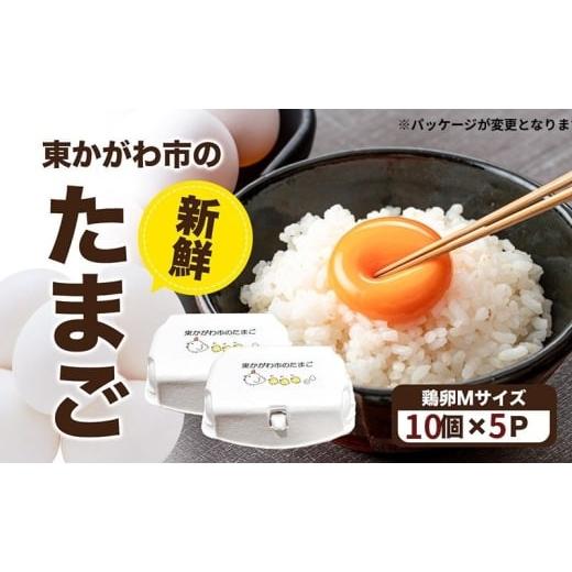 ふるさと納税 卵(鶏、烏骨鶏等) 香川県 東かがわ市   東かがわ市のたまご「鶏卵Mサイズ(10個×5P)」