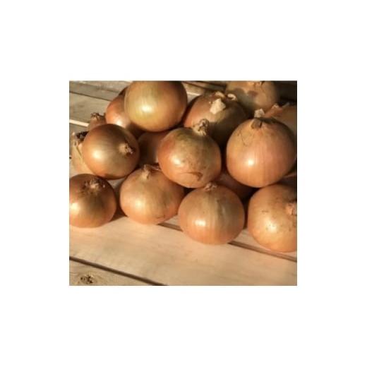 ふるさと納税 野菜類 玉ねぎ 北海道 帯広市 訳あり 北海道 十勝 帯広産 玉ねぎ 20kg 1677195