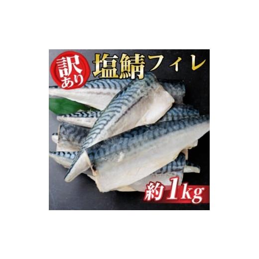 ふるさと納税 魚貝類 鮭 岐阜県 羽島市 訳あり ノルウェー産 塩さば フィレ 約1kg 1694188