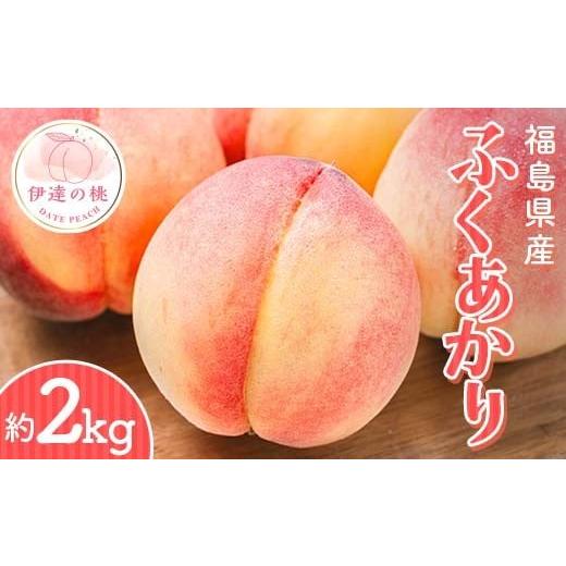 ふるさと納税 もも 福島県 伊達市 2026年出荷分先行予約 福島県産 ふくあかり 約2kg (7〜10玉) 斎藤果樹園 オリジナル品種 伊達の桃 桃 フルーツ 果物 もも …