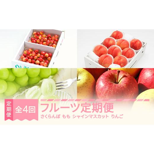 ふるさと納税 果物の詰合せ 山形県 村山市 先行予約 春始まり フルーツ定期便 全4回 令和8年産 さくらんぼ 佐藤錦 白桃 シャインマスカット りんご詰め合わせ…