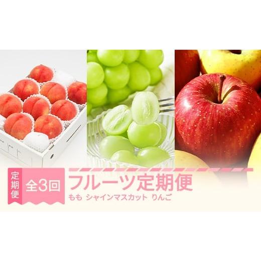 ふるさと納税 果物の詰合せ 山形県 村山市 先行予約 夏始まり フルーツ定期便 全3回 令和8年産 白桃 シャインマスカット りんご詰め合わせ 送料無料 沖縄・離…