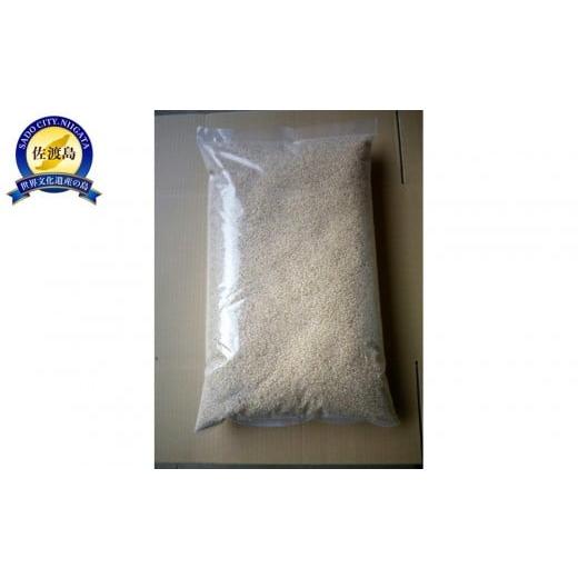 ふるさと納税 玄米 新潟県 佐渡市 令和7年度産 高島農場の農薬不使用ササニシキ10kg玄米