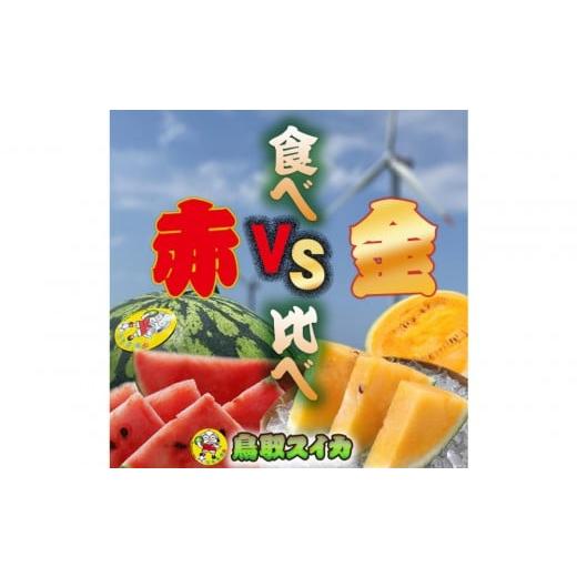 ふるさと納税 スイカ 鳥取県 北栄町 1254. 先行予約 鳥取スイカの食べ比べ 2玉セット(赤肉すいか&金色羅皇)