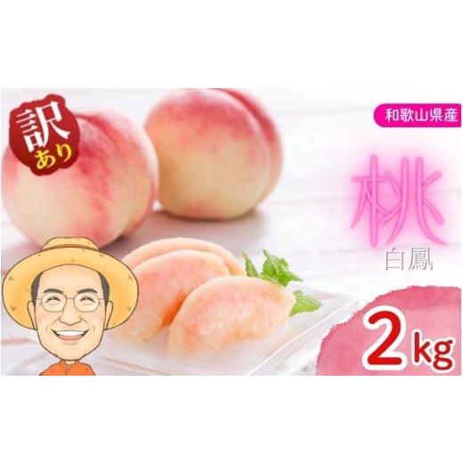 ふるさと納税 もも 和歌山県 かつらぎ町 訳あり 桃 白鳳 約2kg 箱 (8〜9個) サイズ不揃い カキエモン農園 2026年6月下旬〜7月下旬頃順次発送 クール便 送料無…