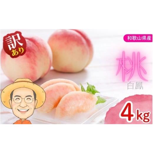 ふるさと納税 もも 和歌山県 かつらぎ町 訳あり 桃 白鳳 約4kg 箱 (13〜15個) サイズ不揃い カキエモン農園 2026年6月下旬〜7月下旬頃順次発送 クール便 送料…