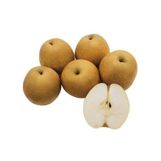 ふるさと納税 梨 鳥取県 若桜町 若桜町産「王秋梨」5kg