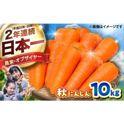 ふるさと納税 野菜類 人参 熊本県 菊陽町 2026年3月発送 秋にんじん10kg / にんじん ニンジン 野菜 β-カロテン ジュース用 食物繊維 抗酸化作用 臭み少ない…