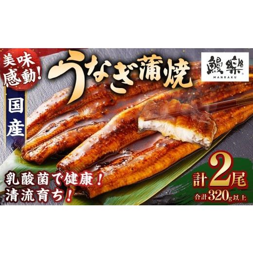 ふるさと納税 うなぎ 宮崎県 高鍋町 訳あり 極上鰻 うまい うなぎ 国産 うなぎ蒲焼 2尾 320g以上 翌月末迄に順次出荷 ふるさと納税 うなぎ 高級 長蒲焼 鰻 夏…