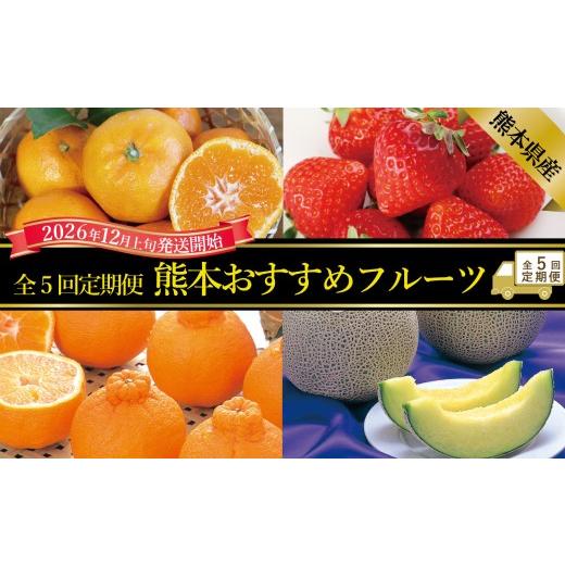 ふるさと納税 メロン 熊本県 -  年5回定期便 熊本おすすめフルーツ定期便（みかん・いちご・メロン＆デコポン・デコポン・メロン） 2026年12月上旬発送開始 み…_1
