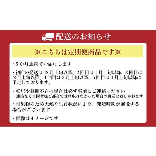 ふるさと納税 メロン 熊本県 -  年5回定期便 熊本おすすめフルーツ定期便（みかん・いちご・メロン＆デコポン・デコポン・メロン） 2026年12月上旬発送開始 み…_2