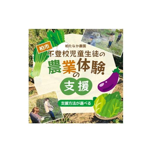 ふるさと納税 野菜類 千葉県 柏市 不登校児童生徒の農業体験の支援 (支援のみ) [ サポート 学び 食育 収穫体験 農業体験 体験 収穫 野菜 子供 親子 農作物 …
