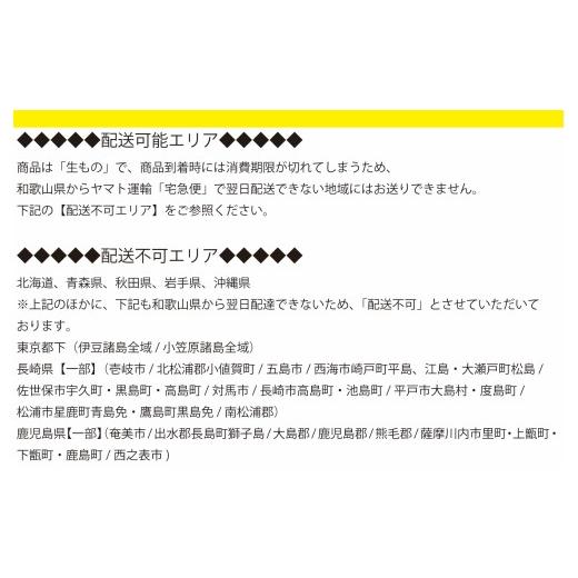 ふるさと納税 寿司 和歌山県 かつらぎ町 魅惑の柿の葉寿司 さば16個入 (冷蔵) ／ 和歌山 紀の川 かつらぎ町 鯖寿司 ふるさと納税 A-frks177の画像