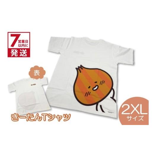 ふるさと納税 服 北海道 北見市 [7営業日以内に発送]きーたんTシャツ 2XLサイズ ( Tシャツ シャツ トップス 2XL イラスト 可愛い )