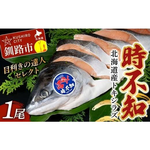 ふるさと納税 魚貝類 鮭 北海道 釧路市 目利きの達人セレクト 天然 時不知 (トキシラズ) 白鮭 1尾 希少 初夏の鮭 脂のり抜群 時鮭 鮭 海鮮 魚 鮮魚 さけ サ…