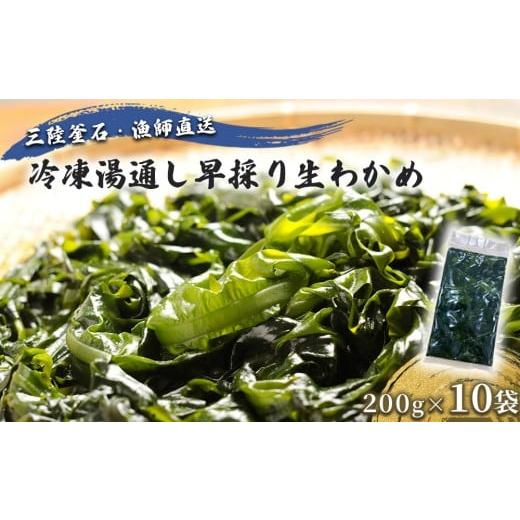 ふるさと納税 のり・海藻 わかめ 岩手県 釜石市 fc-72-042 三陸釜石・漁師直送 冷凍湯通し早採り生わかめ(200g×10袋) 1月下旬頃から3月下旬頃期間限定 お届…