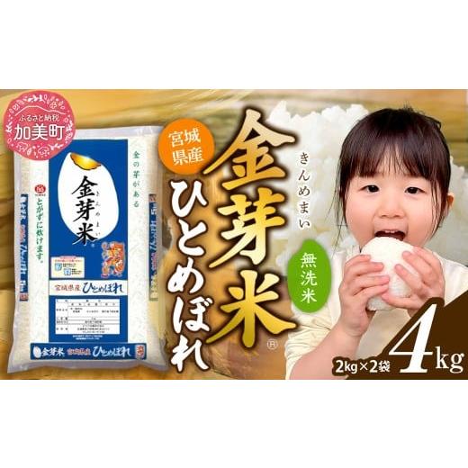 ふるさと納税 無洗米 宮城県 加美町 4kg [2月発送]令和7年 無洗米 金芽米 宮城県産 ひとめぼれ 4kg (2kg×2袋) 米 小分け 便利 時短 栄養 健康 低糖質 低カ…