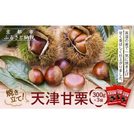 ふるさと納税 果物類 栗 京都府 京都市 焼き立て 天津甘栗300g×3袋|京都 甘栗 人気[ 天津甘栗 自然な甘さ 自然食品 国内製造 おいしい グルメ 人気 おすす…