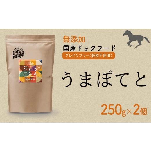 ふるさと納税 馬肉 兵庫県 福崎町 愛犬ごはん ひとつごはん うまぽてと500g 250g×2