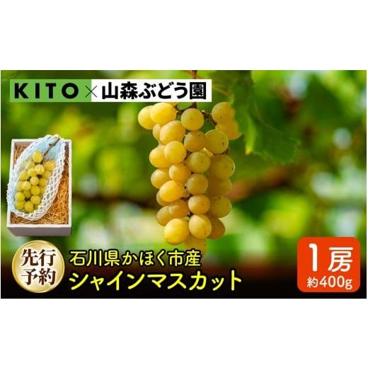 ふるさと納税 ぶどう マスカット 石川県 かほく市 先行予約 令和8年産 「シャインマスカット」400g×1房 石川県かほく市産 2026年8月下旬より順次発送予定 | …