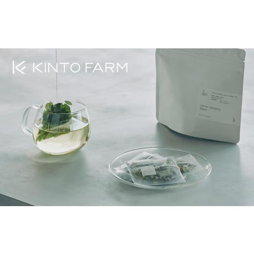 ふるさと納税 紅茶 茶葉・ティーバッグ 滋賀県 彦根市 ハーバルティー ブラックペパーミントブレンド ティーバッグ 10個入り | ハーブティー ティー ティーパ…