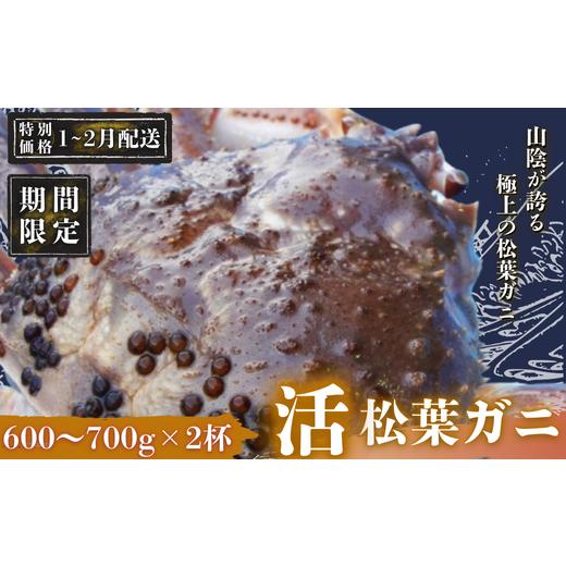 ふるさと納税 カニ 島根県 西ノ島町 期間限定配送 1〜2月発送希望の方へ 松葉ガニ600g〜700g×2杯[活]マツバガニ 冬の旬。贅沢の極みをご家庭で 松葉カニ …