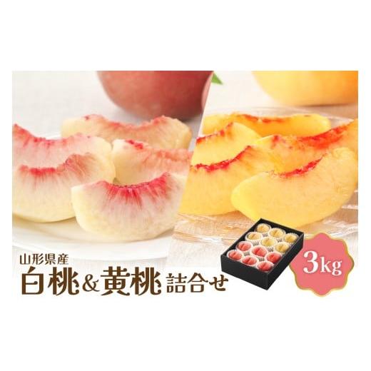 ふるさと納税 もも 山形県 河北町 令和8年産 白桃&黄桃詰め合わせ 3kg JAさがえ西村山 山形県 河北町 詰め合わせ 食べ比べ 人気 桃 白桃 黄桃 ka008-112e
