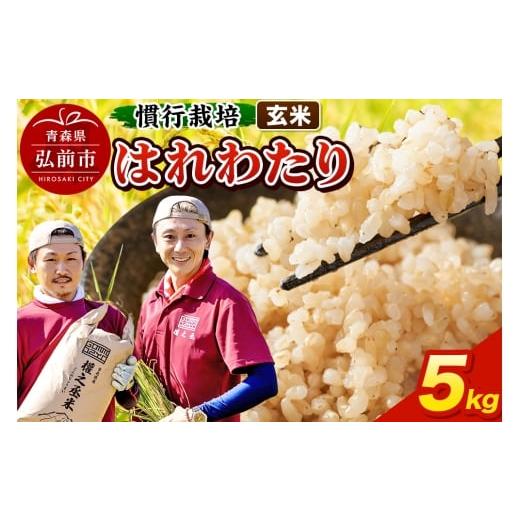 ふるさと納税 玄米 青森県 弘前市 はれわたり 5kg [玄米] 慣行栽培 青森県産 令和7年産
