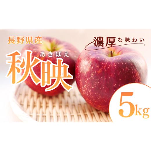 ふるさと納税 りんご 長野県 上田市 秋映 5kg りんご リンゴ 林檎 果物 フルーツ 長野  