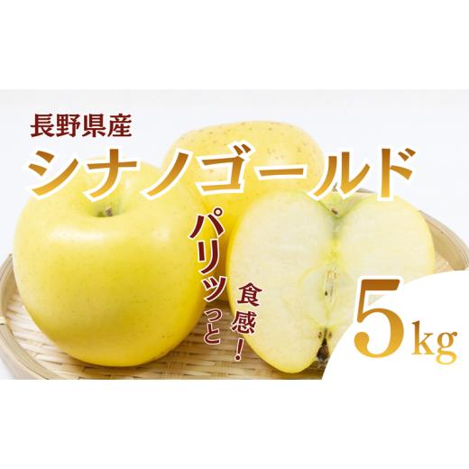 ふるさと納税 りんご 長野県 上田市 シナノゴールド 5kg りんご リンゴ 林檎 果物 フルーツ 長野  