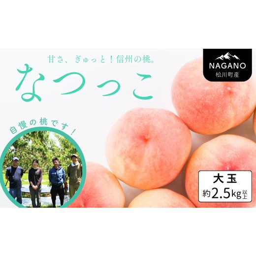 ふるさと納税 もも 長野県 松川町 KM15 桃 なつっこ 大玉 約2.5kg以上（6玉）贈答 ／2026年8月上旬〜8月中旬頃 発送予定｜長野県 南信州 松川町産 モモ もも …の画像