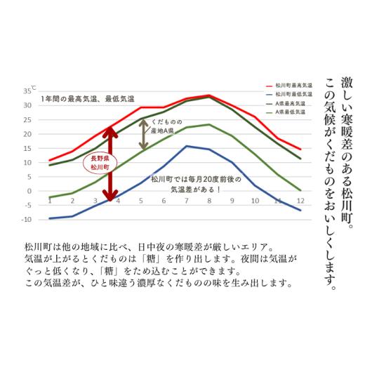 ふるさと納税 もも 長野県 松川町 KM15 桃 なつっこ 大玉 約2.5kg以上（6玉）贈答 ／2026年8月上旬〜8月中旬頃 発送予定｜長野県 南信州 松川町産 モモ もも …の画像