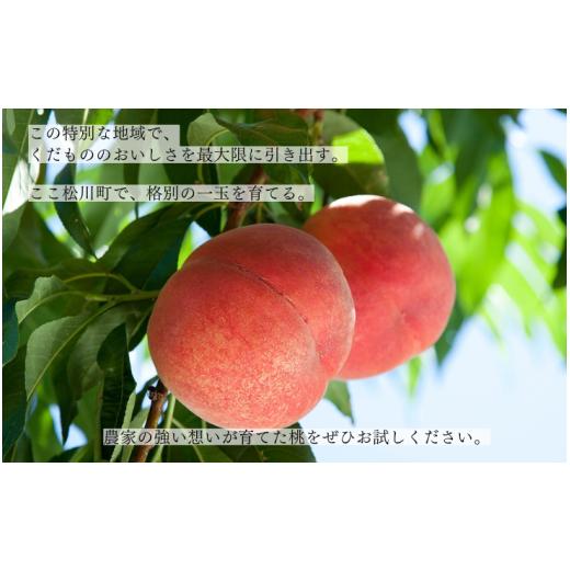 ふるさと納税 もも 長野県 松川町 KM15 桃 なつっこ 大玉 約2.5kg以上（6玉）贈答 ／2026年8月上旬〜8月中旬頃 発送予定｜長野県 南信州 松川町産 モモ もも …の画像