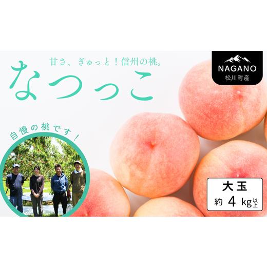 ふるさと納税 もも 長野県 松川町 KM16 桃 なつっこ 大玉 約4kg以上(9〜10玉)贈答 /2026年8月上旬〜8月中旬頃 発送予定|長野県 南信州 松川町産 モモ もも…