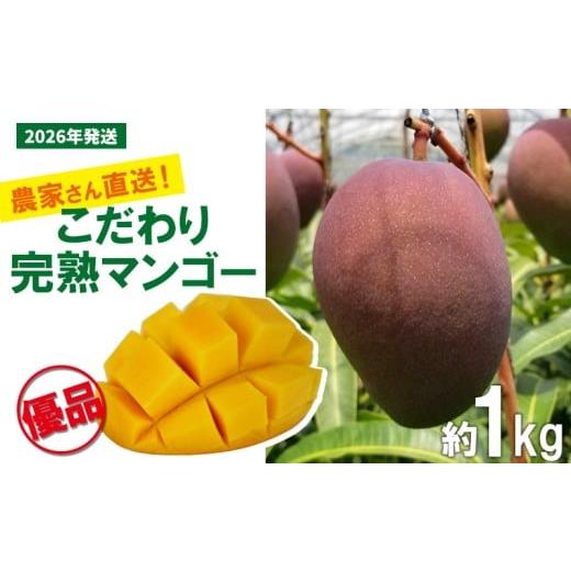 ふるさと納税 マンゴー 沖縄県 名護市 2026年発送先行予約 こだわりのアップルマンゴー 優品1kg ふるいっと 数量限定 名護市 沖縄 フルーツ くだもの 果物 …