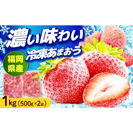 ふるさと納税 いちご 福岡県 築上町 福岡産 冷凍あまおう 1kg (500g×2袋) [築上町] 南国フルーツ株式会社 果物 苺 いちご あまおう