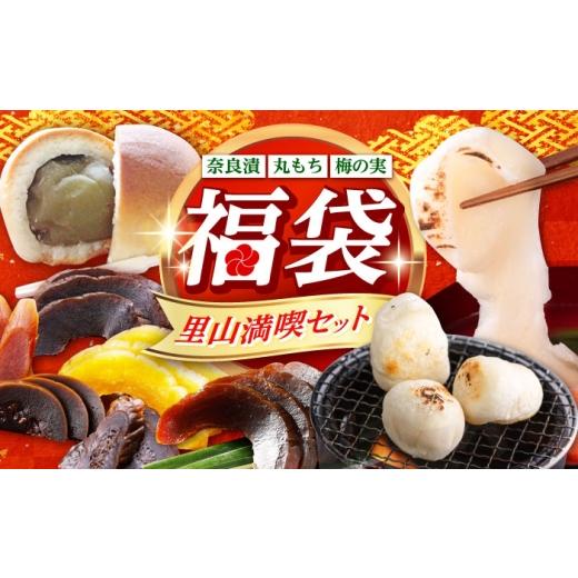 ふるさと納税 米・パン 餅 福岡県 築上町 福袋 里山満喫セット （ 餅 ／ 漬物 ／ 焼き菓子 ） 《築上町》 和ギフト もち 奈良漬け 和菓子 正月 ABZY017 34000 …_1