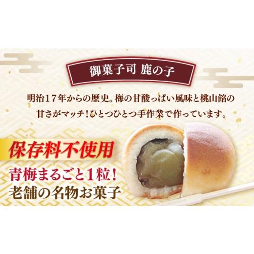 ふるさと納税 米・パン 餅 福岡県 築上町 福袋 里山満喫セット （ 餅 ／ 漬物 ／ 焼き菓子 ） 《築上町》 和ギフト もち 奈良漬け 和菓子 正月 ABZY017 34000 …_5