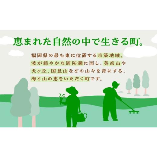 ふるさと納税 米・パン 餅 福岡県 築上町 福袋 里山満喫セット （ 餅 ／ 漬物 ／ 焼き菓子 ） 《築上町》 和ギフト もち 奈良漬け 和菓子 正月 ABZY017 34000 …_8