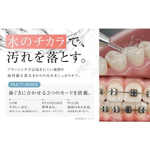 ふるさと納税 美容・健康家電 熊本県 西原村 デンタルケア （ デンタルケアデバイス・TypeCケーブル ） ／ デンタルケアセット デンタルケアデバイス 口腔ケア…