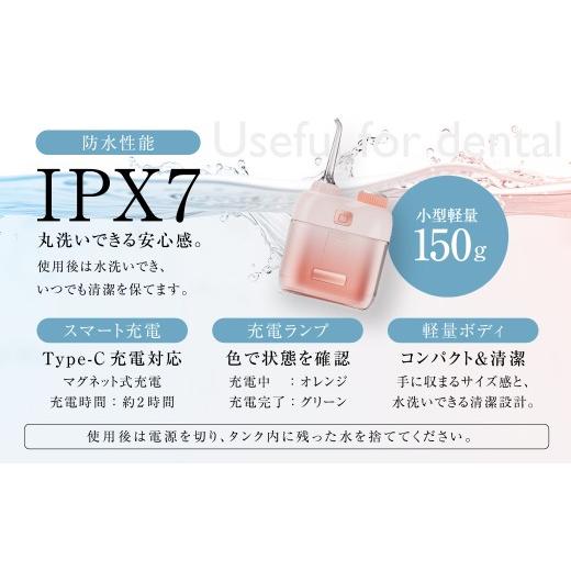 ふるさと納税 美容・健康家電 熊本県 西原村 デンタルケア （ デンタルケアデバイス・TypeCケーブル ） ／ デンタルケアセット デンタルケアデバイス 口腔ケア…