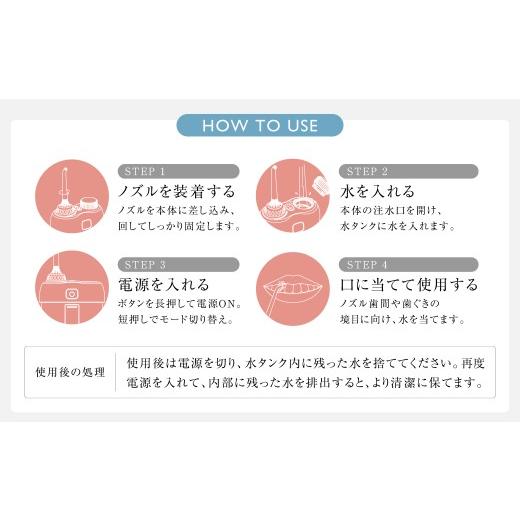 ふるさと納税 美容・健康家電 熊本県 西原村 デンタルケア （ デンタルケアデバイス・TypeCケーブル ） ／ デンタルケアセット デンタルケアデバイス 口腔ケア…