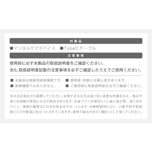 ふるさと納税 美容・健康家電 熊本県 西原村 デンタルケア （ デンタルケアデバイス・TypeCケーブル ） ／ デンタルケアセット デンタルケアデバイス 口腔ケア…