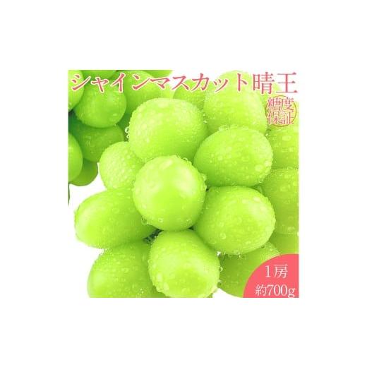 ふるさと納税 ぶどう マスカット 岡山県 倉敷市 お中元対象商品 晴王 シャインマスカット晴王 1房 約700g 先行予約:2026年7月上旬〜8月上旬発送予定 岡山県…