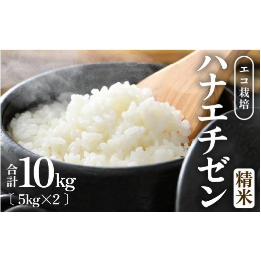 ふるさと納税 米 福井県 あわら市 先行予約 令和8年産 新米 一等米 エコ栽培ハナエチゼン 精米10kg (5kg×2袋) / 鮮度抜群 福井県産 はなえちぜん ご飯 新…