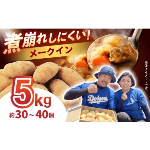 ふるさと納税 野菜類 じゃがいも 長崎県 諫早市 じゃがいも メークイン 5kg (S〜2Lサイズ/約30〜40個) / じゃがいも ジャガイモ ポテト 九州 メークイン メ…