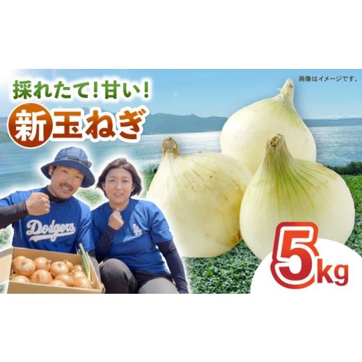 ふるさと納税 野菜類 玉ねぎ 長崎県 諫早市 タマネギ 5kg ／ たまねぎ タマネギ 玉ねぎ 玉葱 玉ネギ 野菜 やさい 新玉 新たま 新玉ねぎ ／ 諫早市 ／スマイル…の画像