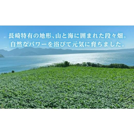 ふるさと納税 野菜類 玉ねぎ 長崎県 諫早市 タマネギ 5kg ／ たまねぎ タマネギ 玉ねぎ 玉葱 玉ネギ 野菜 やさい 新玉 新たま 新玉ねぎ ／ 諫早市 ／スマイル…の画像