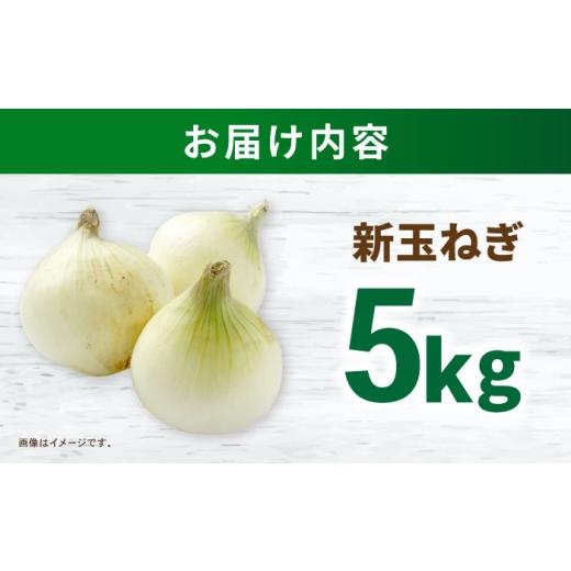 ふるさと納税 野菜類 玉ねぎ 長崎県 諫早市 タマネギ 5kg ／ たまねぎ タマネギ 玉ねぎ 玉葱 玉ネギ 野菜 やさい 新玉 新たま 新玉ねぎ ／ 諫早市 ／スマイル…の画像